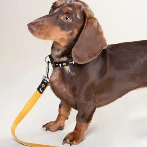 Correa para perros Snoopy Pets D-01