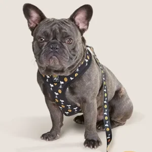 Arnés para perros Snoopy Pets D-05