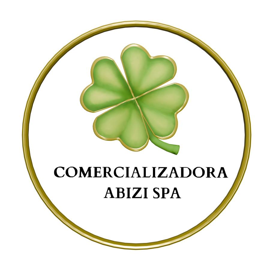 Logo_Abizi_Mediano_2K
